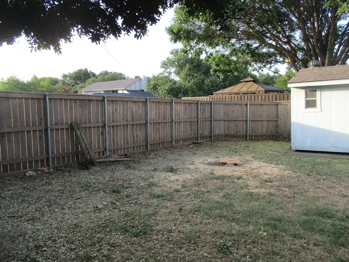 Cleared yard after professional tree removal in Muscadine